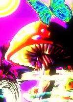 Benutzeravatar