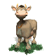Benutzeravatar