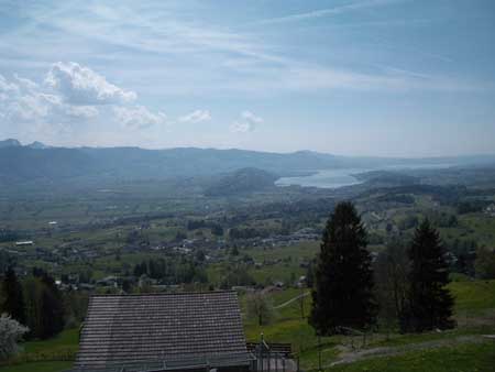 IMGP8690