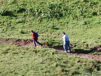 wandersieche